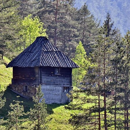 Sedmica Zlatibor Vip Bogic Apartment Екстериор снимка