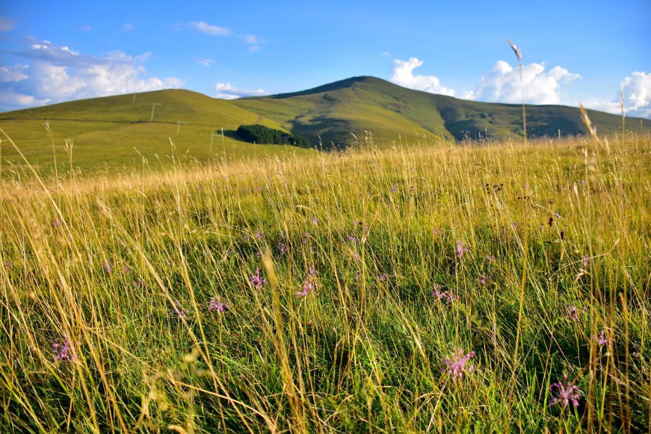 Sedmica Zlatibor Vip Bogic Apartment Екстериор снимка