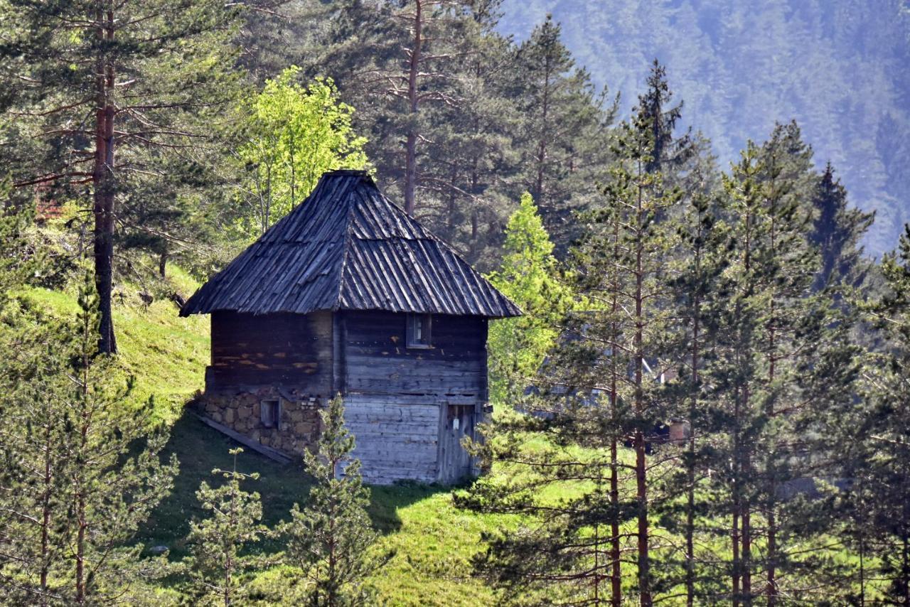 Sedmica Zlatibor Vip Bogic Apartment Екстериор снимка