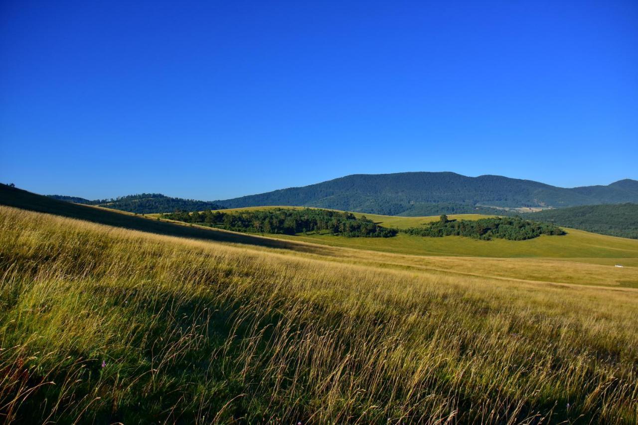 Sedmica Zlatibor Vip Bogic Apartment Екстериор снимка